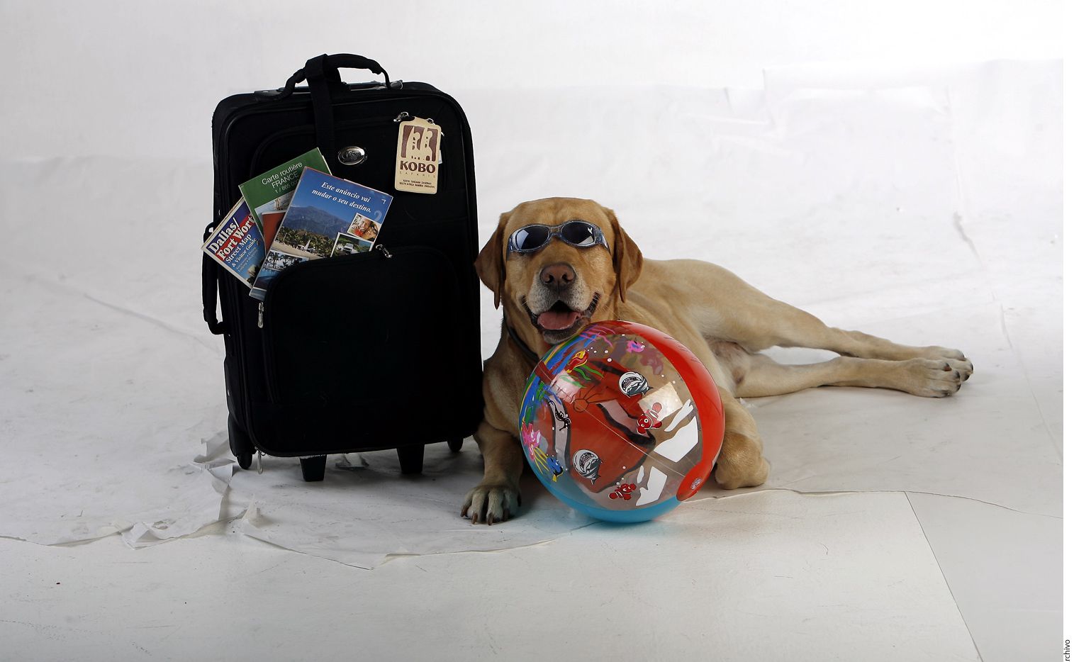 pasaporte para mascotas